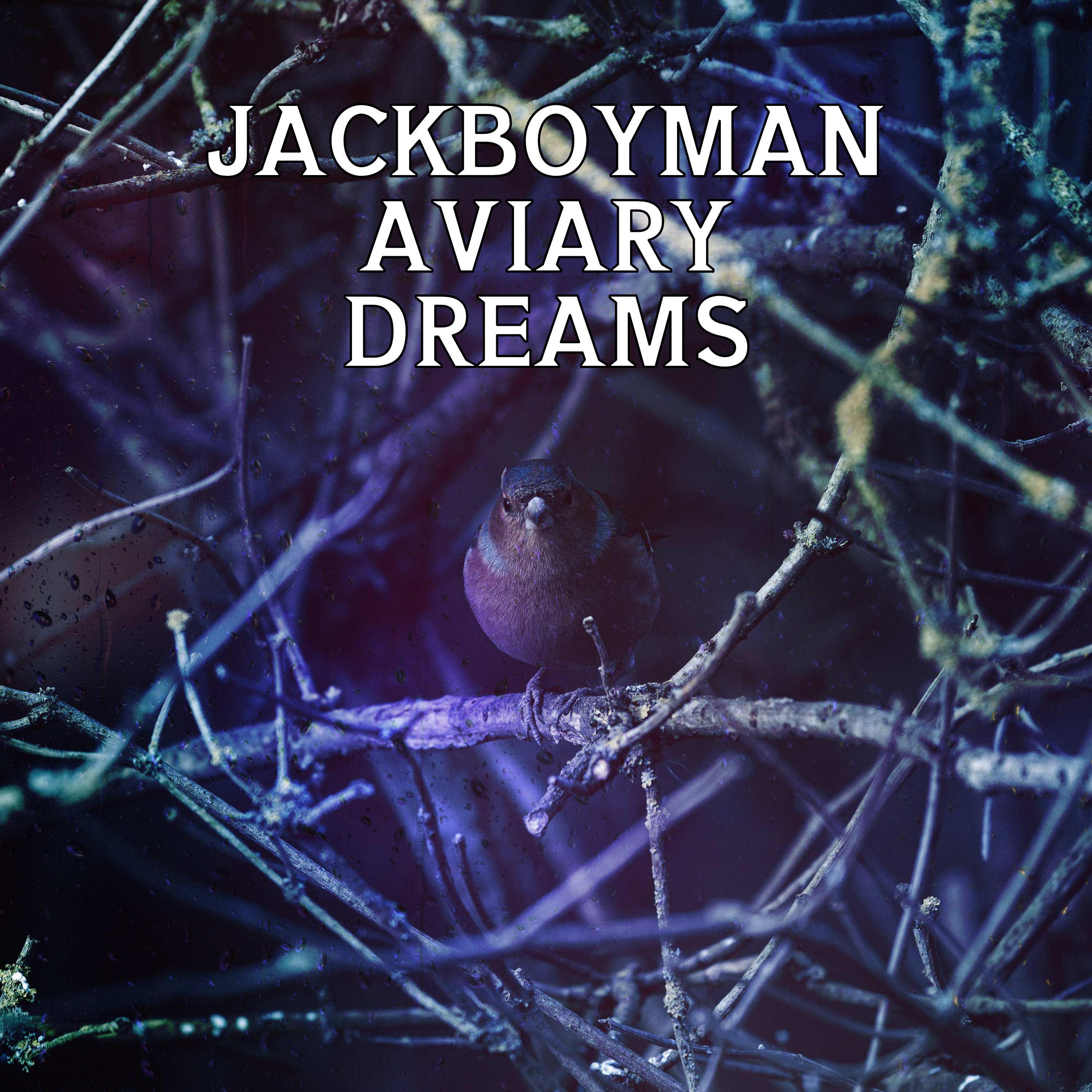 Aviary Dreams cover by jackboyman